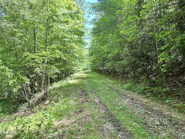 TBD Buffalo Hollow Rd, Castlewood, VA 24224