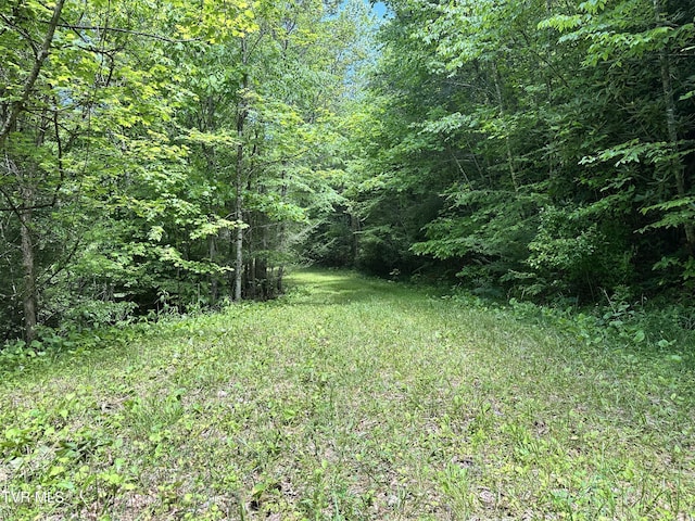 TBD Buffalo Hollow Rd, Castlewood, VA 24224