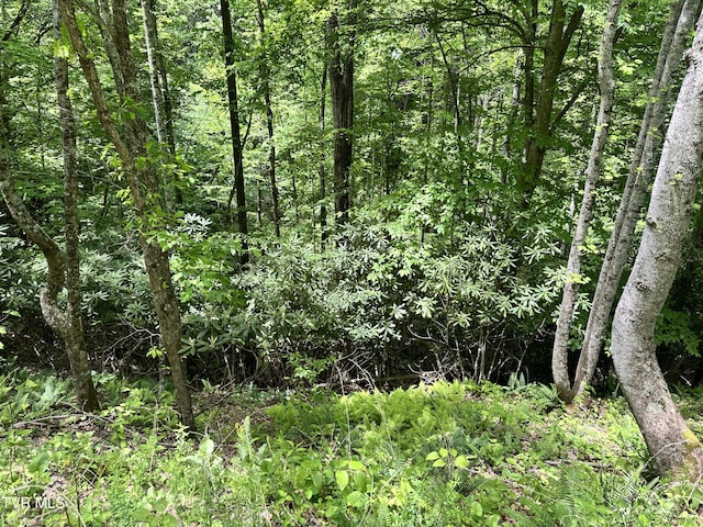 TBD Buffalo Hollow Rd, Castlewood, VA 24224