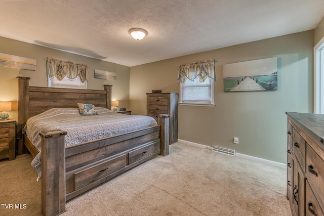 115 Dover Ln, Bristol, TN 37620 - bedroom with light carpet, baseboards, and a textured ceiling