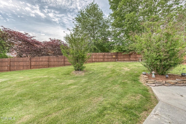 115 Dover Ln, Bristol, TN 37620 - view of yard