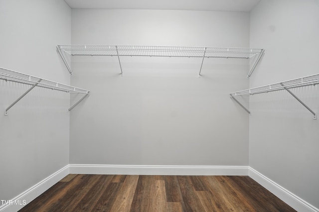 5541 Hester Ct, Piney Flats, TN 37686 - walk in closet with wood finished floors