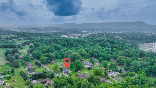 144 Windmere Pl, Kingsport, TN 37664 - photo 50