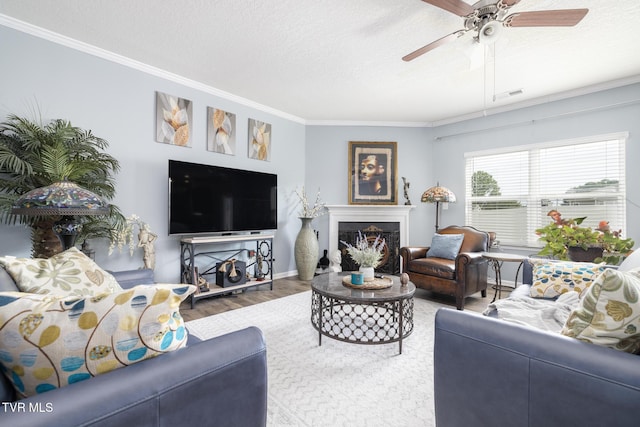 478 Brinkleys Way, Johnson City, TN 37615 - living room with crown molding, ceiling fan, a textured ceiling, a fireplace, and wood finished floors