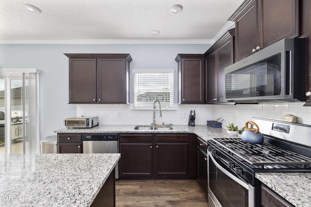 478 Brinkleys Way, Johnson City, TN 37615 - kitchen featuring stainless steel appliances, a sink, dark brown cabinetry, light stone counters, and ornamental molding