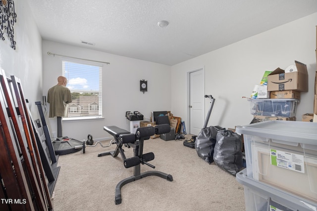 478 Brinkleys Way, Johnson City, TN 37615 - workout room with carpet floors and a textured ceiling