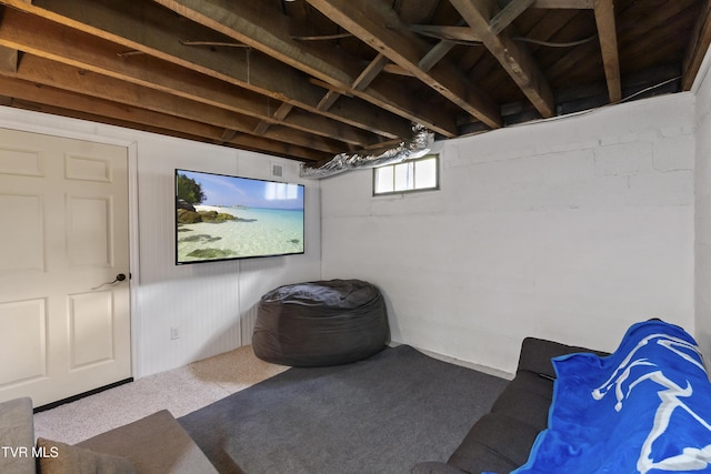 108 S Rogers St, Rogersville, TN 37857 - basement with carpet flooring