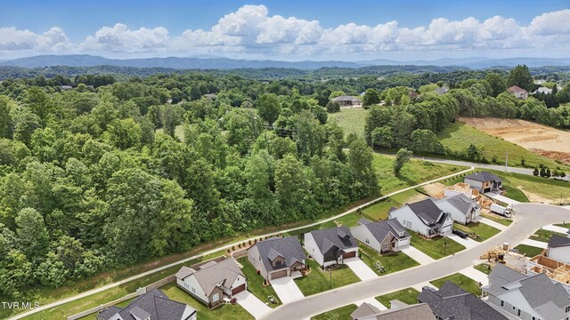 235 Winston Pl, Johnson City, TN 37615 - photo 52