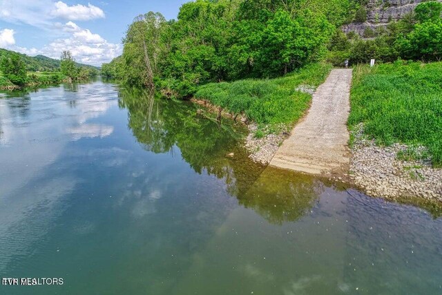 833 Duck Creek Rd, Sneedville, TN 37869 - water view with a forest