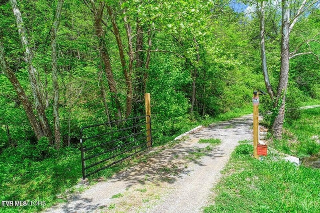 833 Duck Creek Rd, Sneedville, TN 37869 - view of street featuring a view of trees and a gated entry