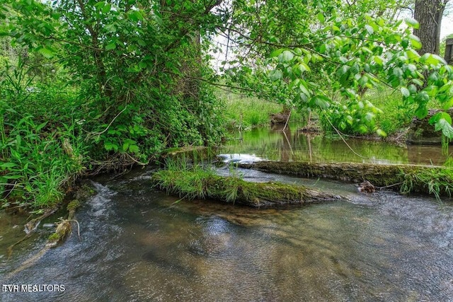 833 Duck Creek Rd, Sneedville, TN 37869 - water view