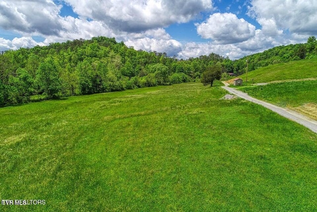 833 Duck Creek Rd, Sneedville, TN 37869 - view of yard with a forest view and a view of rural / pastoral area