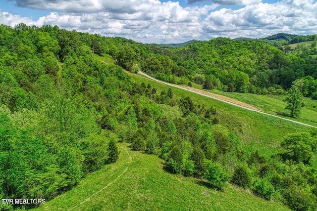 833 Duck Creek Rd, Sneedville, TN 37869 - bird's eye view of a heavily wooded area