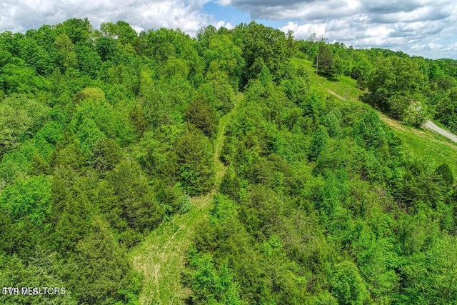833 Duck Creek Rd, Sneedville, TN 37869 - bird's eye view of a forest