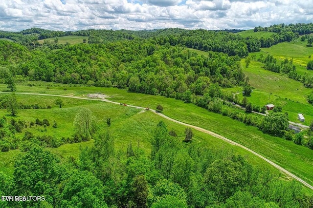 833 Duck Creek Rd, Sneedville, TN 37869 - overview of rural landscape with a forest