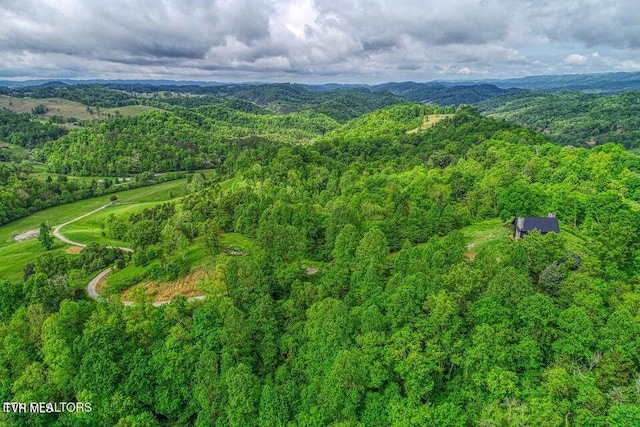 833 Duck Creek Rd, Sneedville, TN 37869 - bird's eye view of a forest