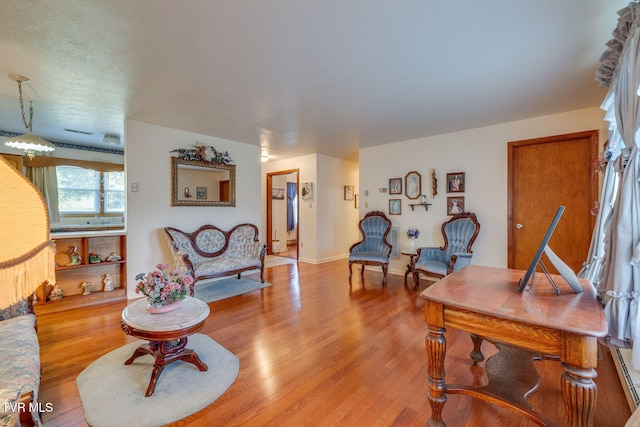 253 Fairford Ln, Blountville, TN 37617 - living area featuring light wood finished floors and baseboards