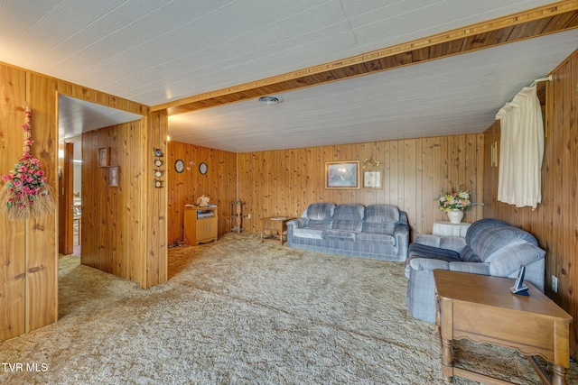 253 Fairford Ln, Blountville, TN 37617 - living room with carpet and wooden walls