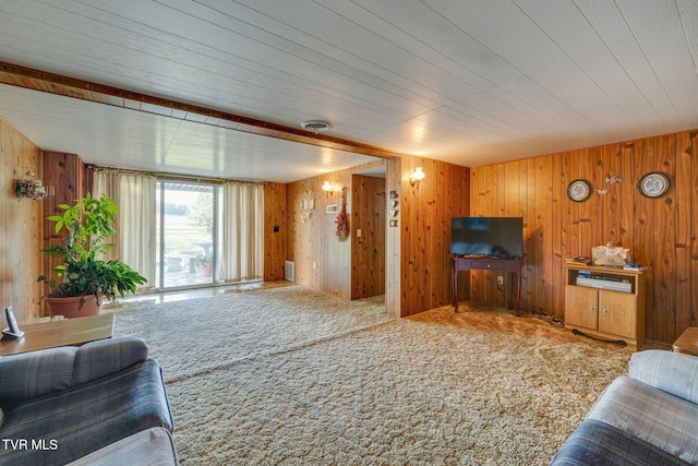 253 Fairford Ln, Blountville, TN 37617 - carpeted living room with wooden walls and wood ceiling