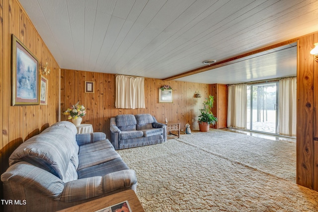 253 Fairford Ln, Blountville, TN 37617 - living area featuring wood walls and carpet floors