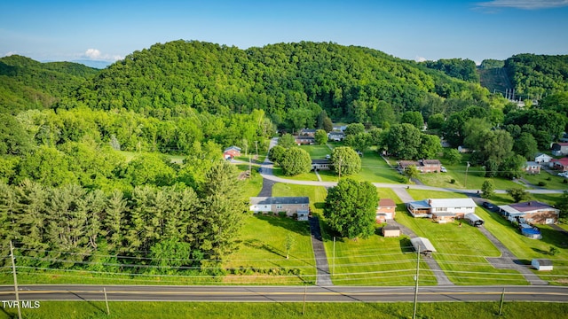 253 Fairford Ln, Blountville, TN 37617 - bird's eye view of a heavily wooded area