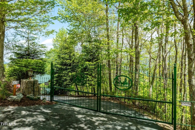 1527 Stone Mountain Rd, Trade, TN 37691 - photo 2