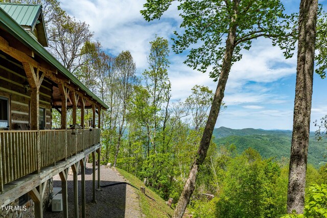 1527 Stone Mountain Rd, Trade, TN 37691 - photo 11