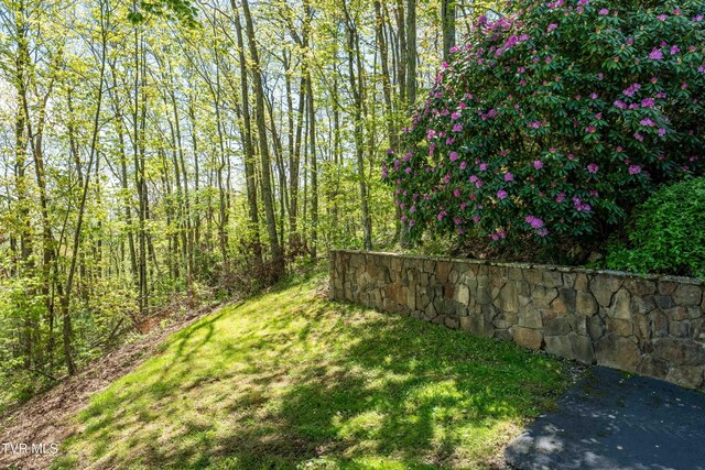 1527 Stone Mountain Rd, Trade, TN 37691 - photo 24