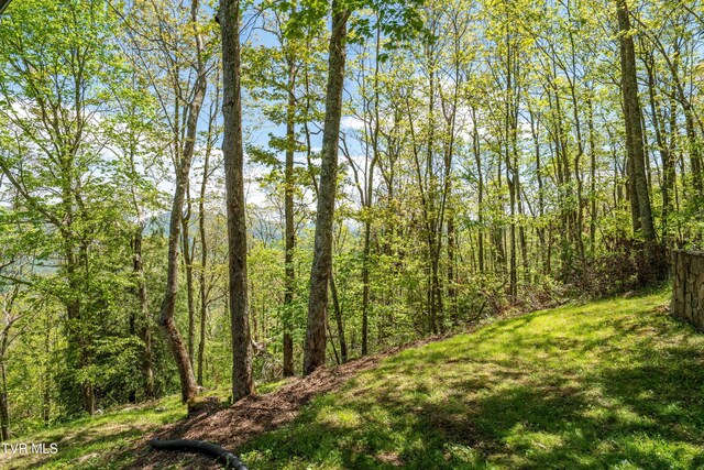 1527 Stone Mountain Rd, Trade, TN 37691 - photo 25