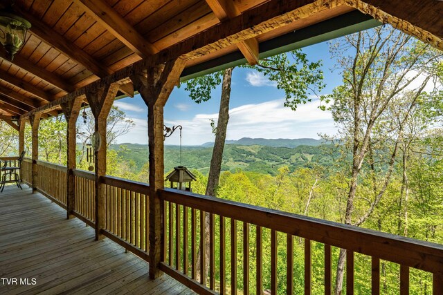 1527 Stone Mountain Rd, Trade, TN 37691 - photo 35
