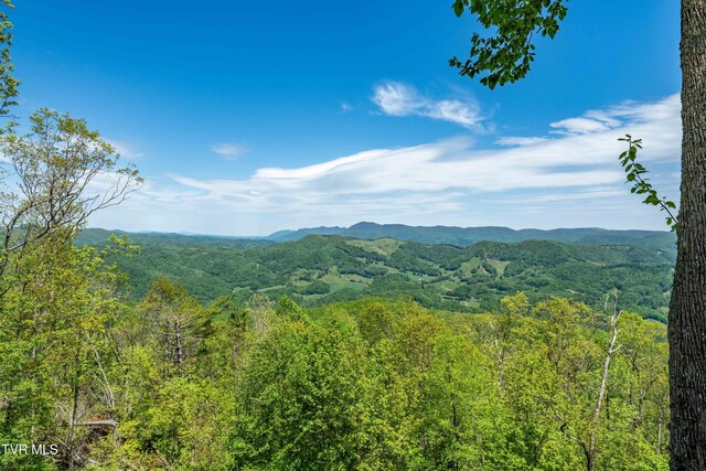 1527 Stone Mountain Rd, Trade, TN 37691 - photo 3