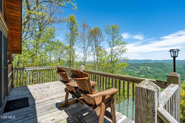 1527 Stone Mountain Rd, Trade, TN 37691 - photo 37