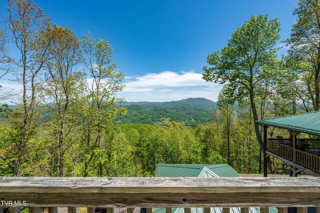 1527 Stone Mountain Rd, Trade, TN 37691 - photo 40