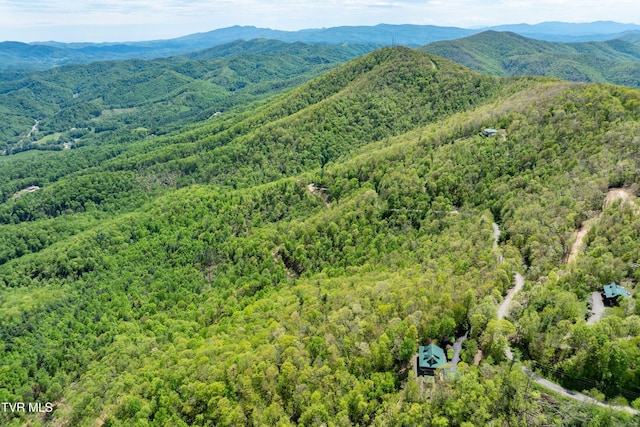 1527 Stone Mountain Rd, Trade, TN 37691 - photo 107