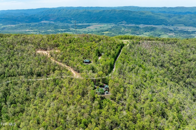 1527 Stone Mountain Rd, Trade, TN 37691 - photo 110
