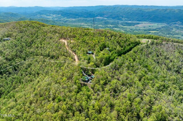 1527 Stone Mountain Rd, Trade, TN 37691 - photo 111