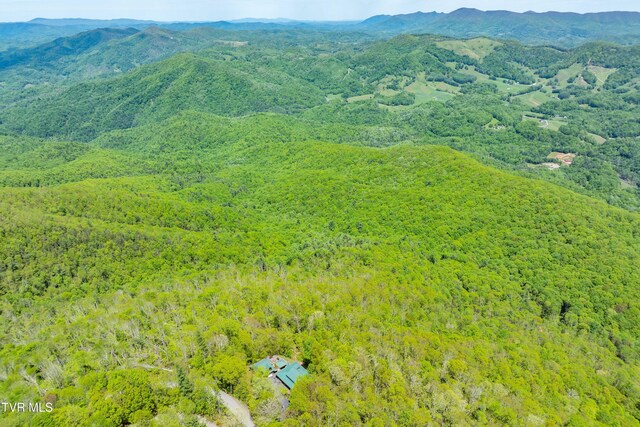 1527 Stone Mountain Rd, Trade, TN 37691 - photo 115
