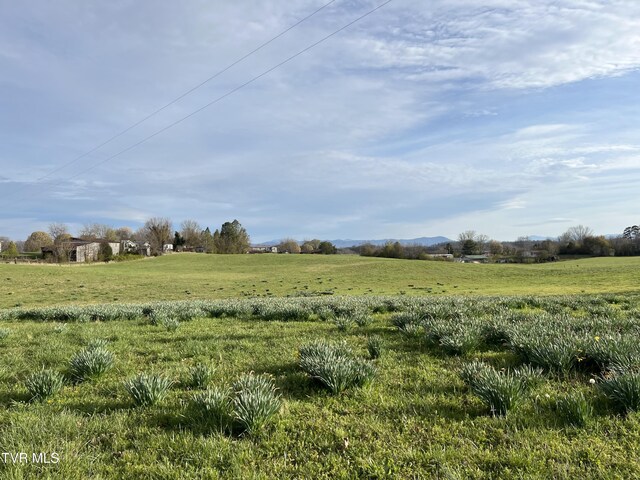 640 Pates Hill Rd, Mosheim, TN 37818 - photo 29