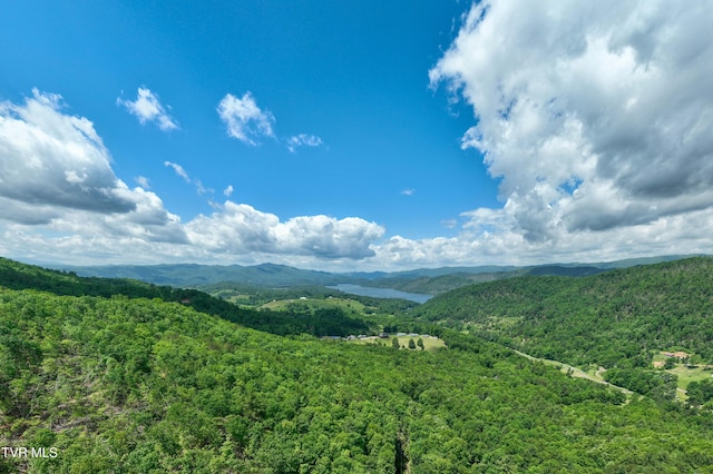 198 Gunbarrel Ln, Butler, TN 37640 - view of mountain backdrop featuring a heavily wooded area