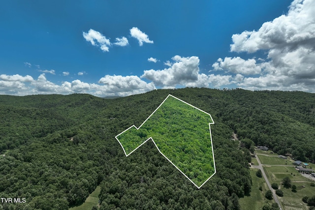 198 Gunbarrel Ln, Butler, TN 37640 - aerial view of property and surrounding area with a heavily wooded area and property boundaries highlighted
