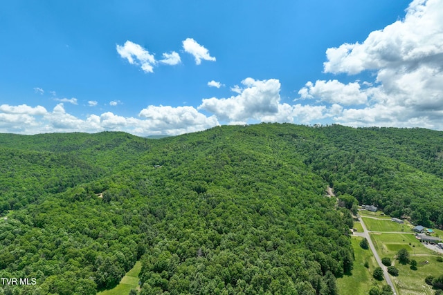 198 Gunbarrel Ln, Butler, TN 37640 - view of mountain background with a forest