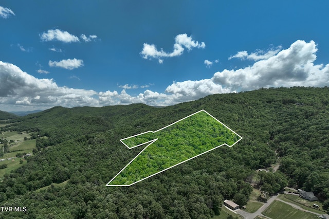 198 Gunbarrel Ln, Butler, TN 37640 - view of property location with a forest, property boundaries highlighted, and a mountainous background