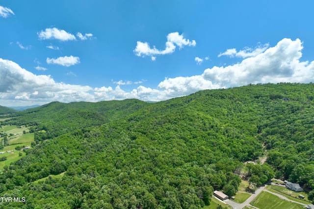 198 Gunbarrel Ln, Butler, TN 37640 - mountain view featuring a forest