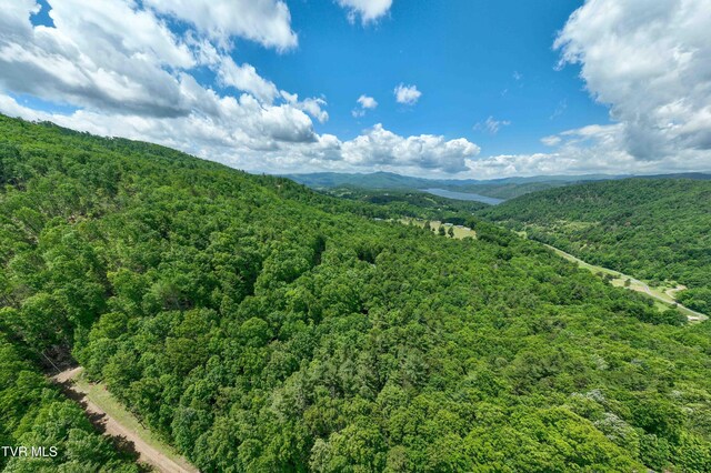 198 Gunbarrel Ln, Butler, TN 37640 - view of mountain backdrop featuring a forest
