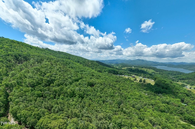 198 Gunbarrel Ln, Butler, TN 37640 - mountain view with a heavily wooded area