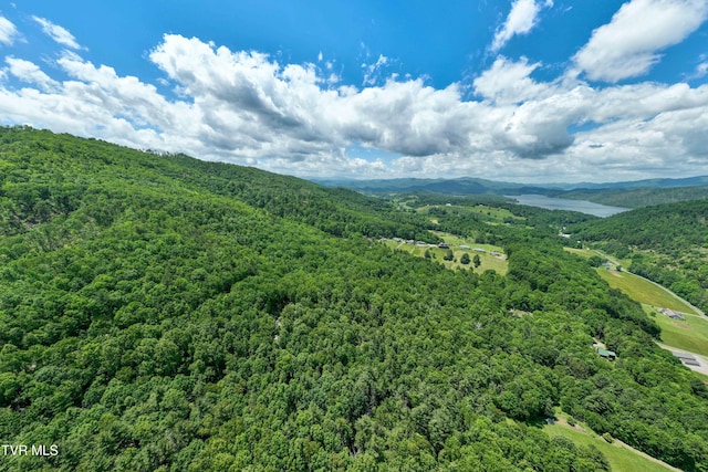 198 Gunbarrel Ln, Butler, TN 37640 - drone / aerial view of a heavily wooded area and a mountainous background