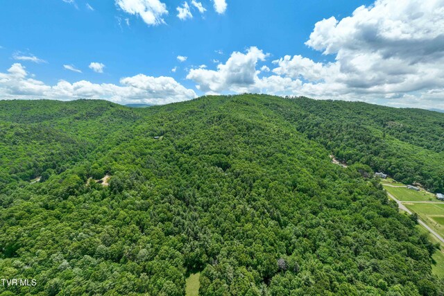 198 Gunbarrel Ln, Butler, TN 37640 - mountain view featuring a heavily wooded area