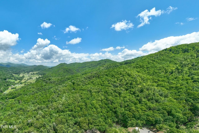 198 Gunbarrel Ln, Butler, TN 37640 - view of mountain backdrop featuring a forest