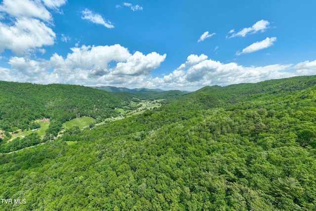 198 Gunbarrel Ln, Butler, TN 37640 - view of mountain background with a forest