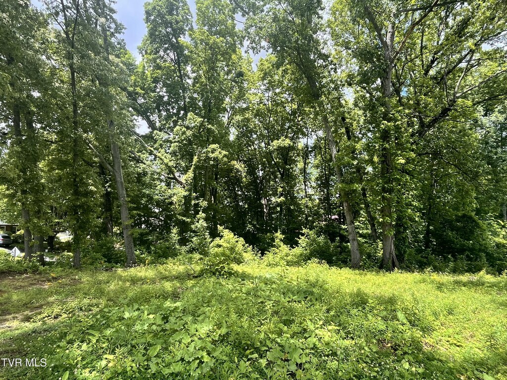 TBD Northwood Ave, Johnson City, TN 37615